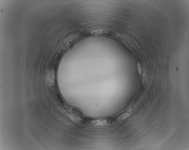 X0000073520660200608211806