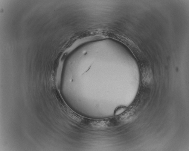 X0000073520661200608211806