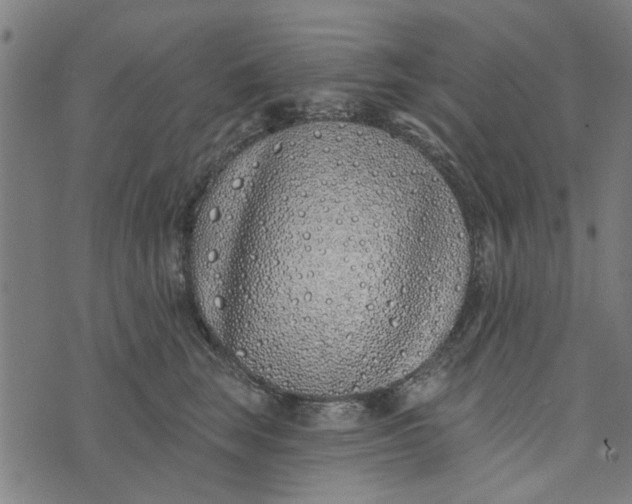 X0000073520663200608211806