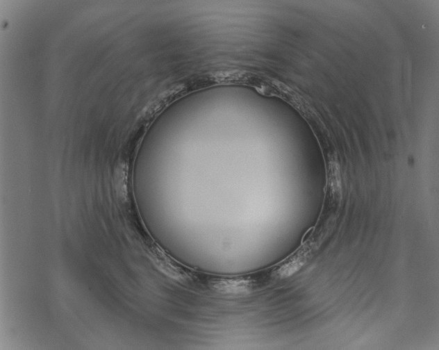 X0000073520664200608211806