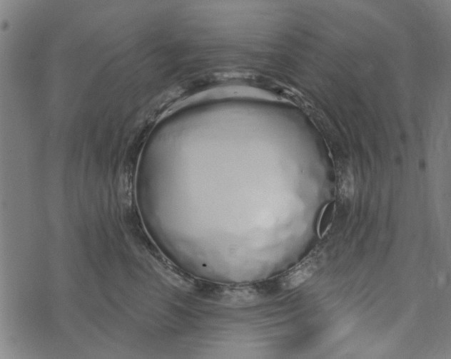 X0000073520666200608211806