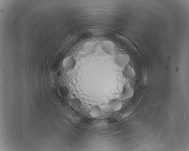 X0000073520667200608211806