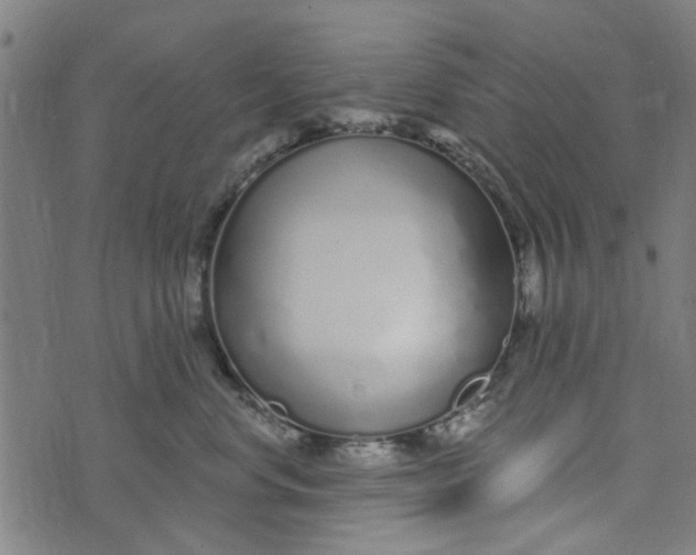 X0000073520668200608211806