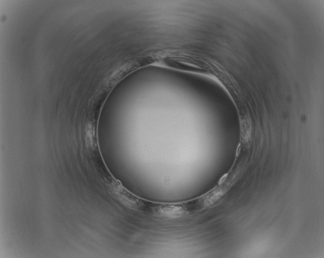 X0000073520669200608211806