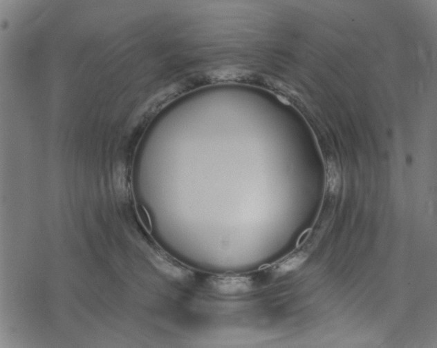 X0000073520670200608211806