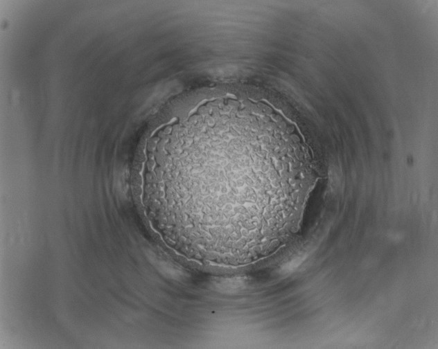 X0000073520671200608211806