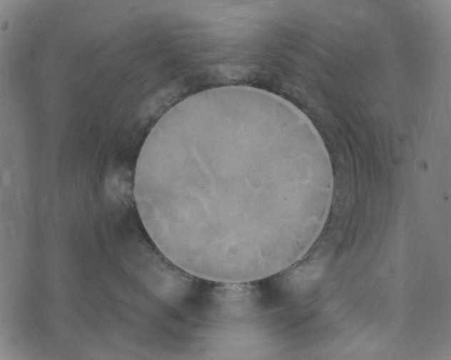 X0000073520672200608211806