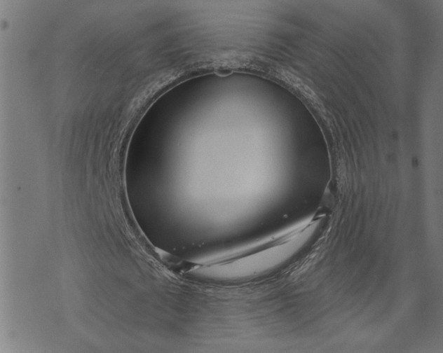 X0000073520673200608211805