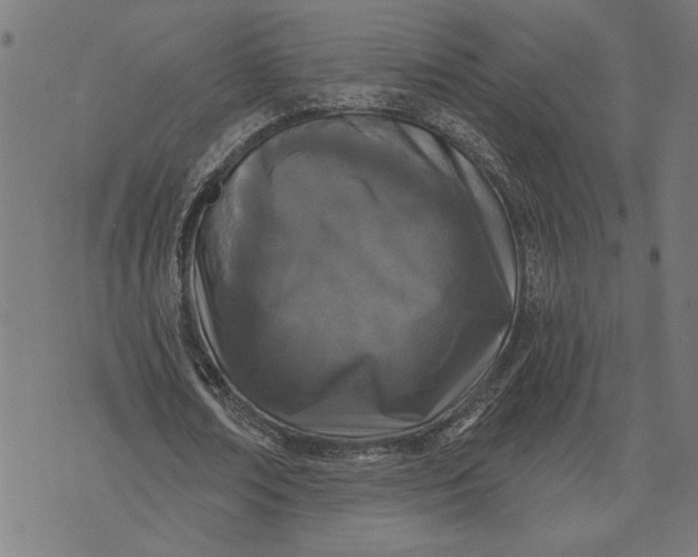 X0000073520674200608211805