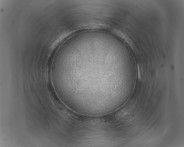 X0000073520675200608211805