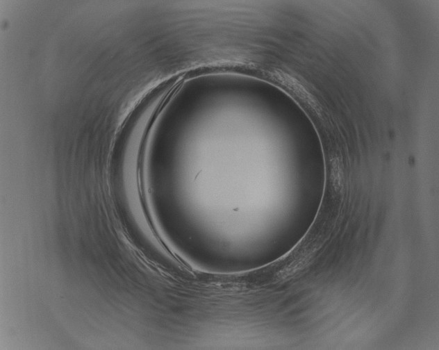 X0000073520676200608211805