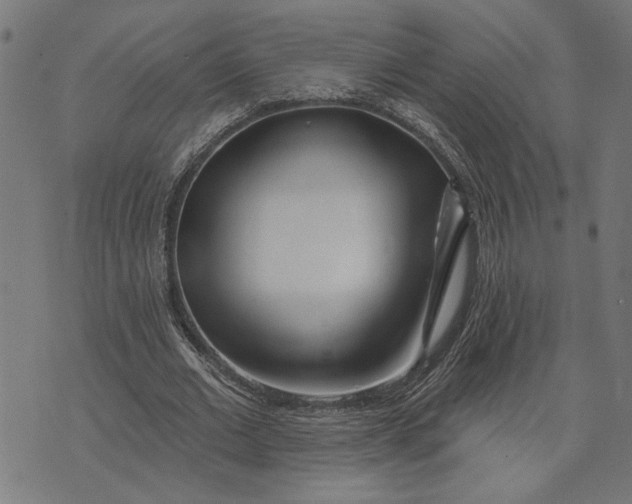 X0000073520677200608211805