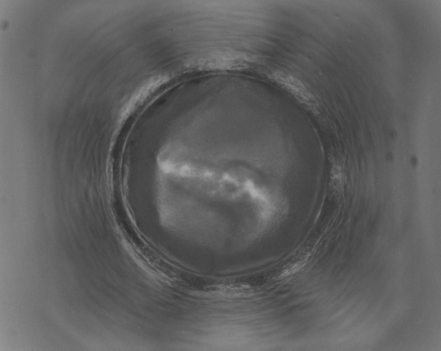 X0000073520678200608211805