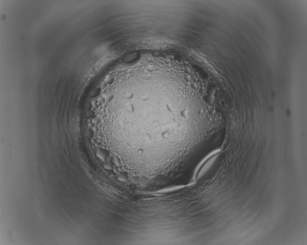 X0000073520679200608211805