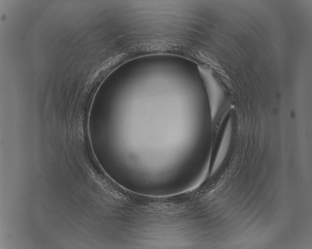 X0000073520681200608211805