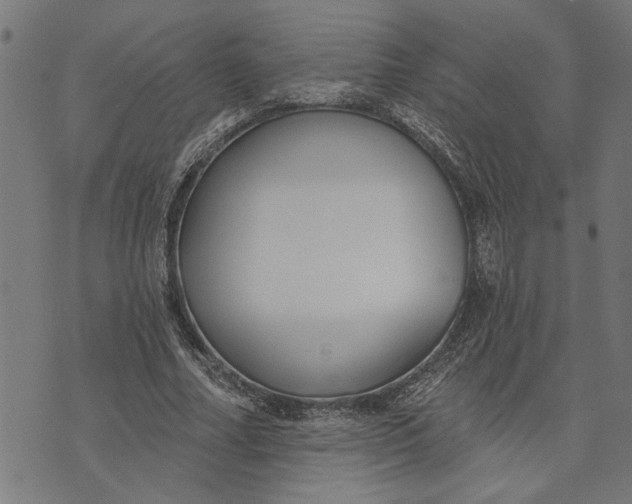 X0000073520682200608211805