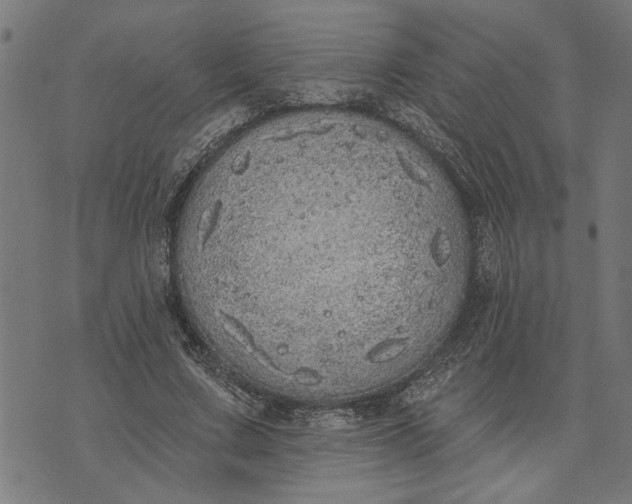 X0000073520683200608211805