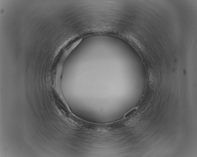 X0000073520684200608211805