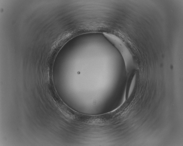 X0000073520685200608211805