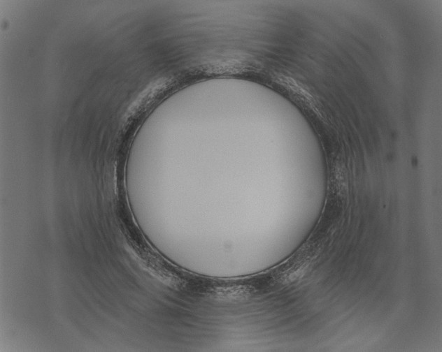 X0000073520686200608211805