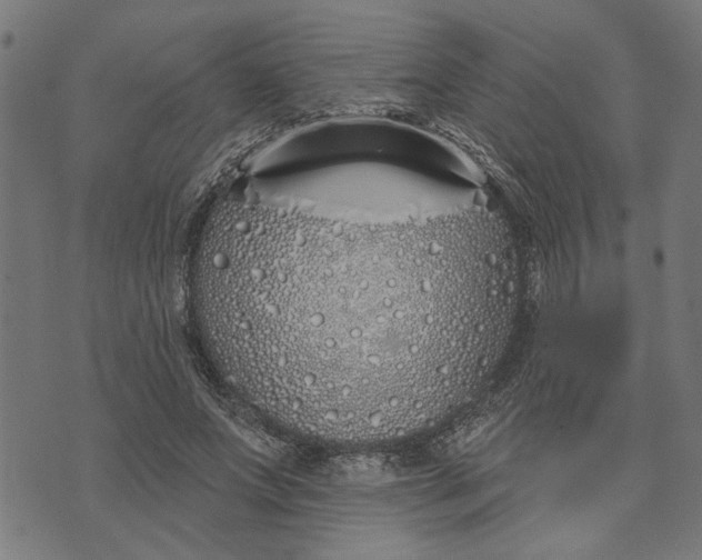 X0000073520687200608211805