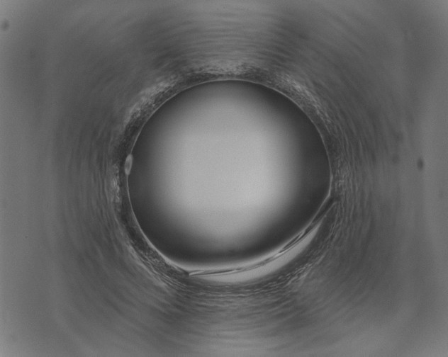 X0000073520688200608211805