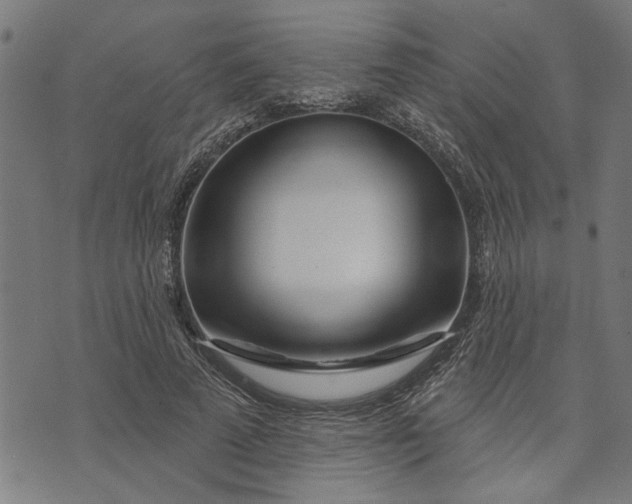 X0000073520689200608211805