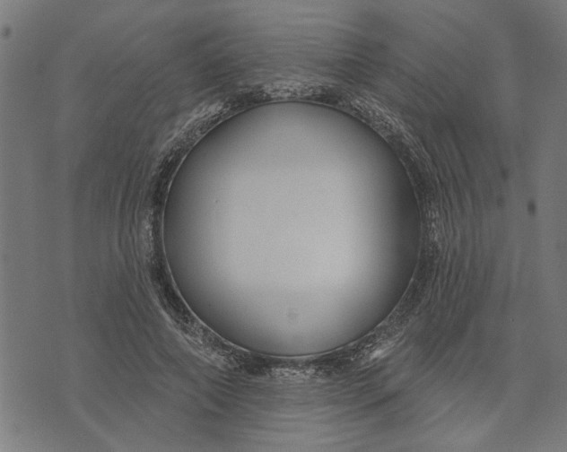 X0000073520690200608211805