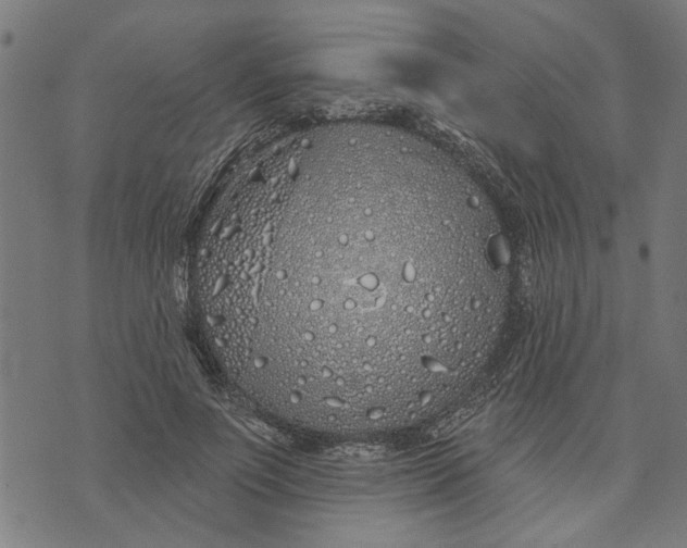 X0000073520691200608211805