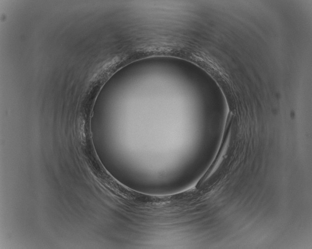 X0000073520692200608211805