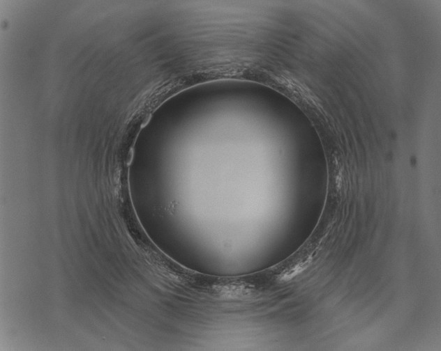 X0000073520693200608211805