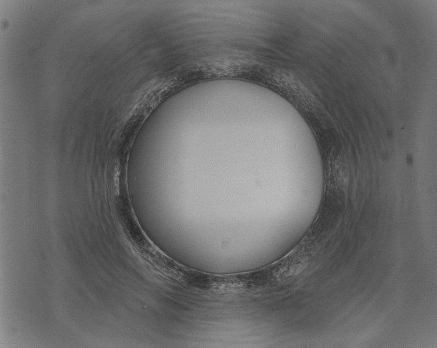 X0000073520694200608211805