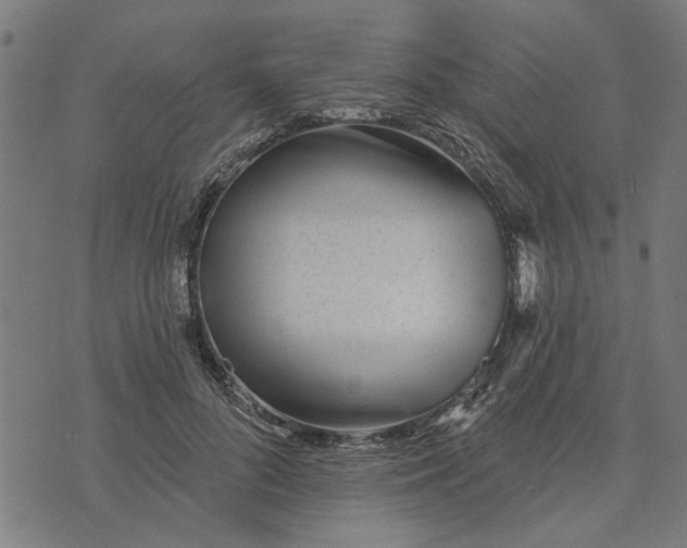 X0000073520696200608211805