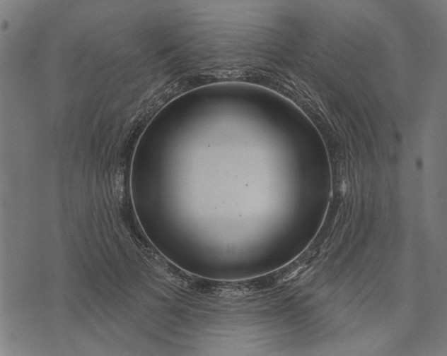 X0000073520697200608211805