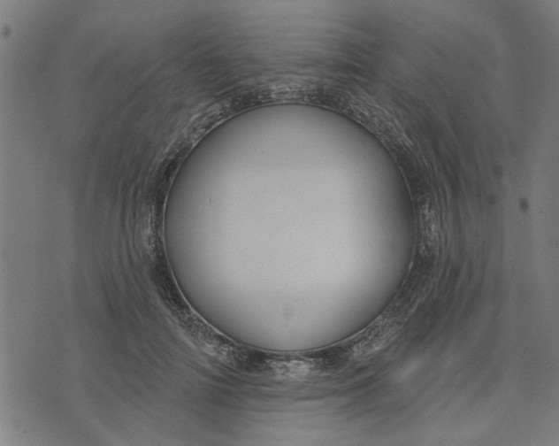 X0000073520698200608211805