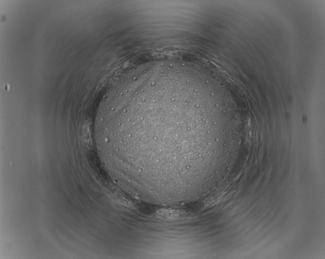 X0000073520699200608211805