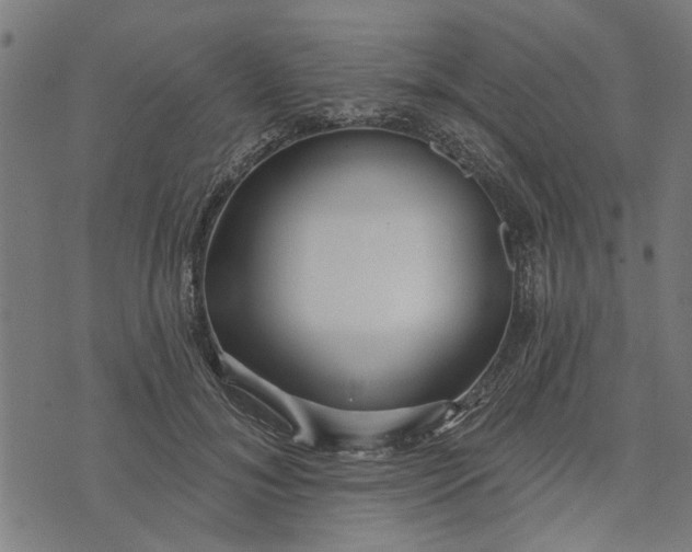 X0000073520700200608211805