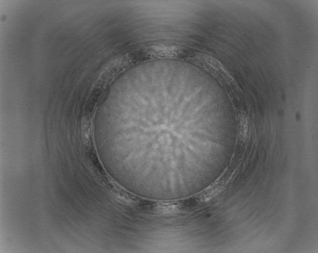 X0000073520701200608211805