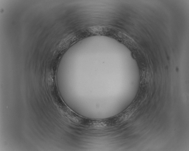 X0000073520702200608211805