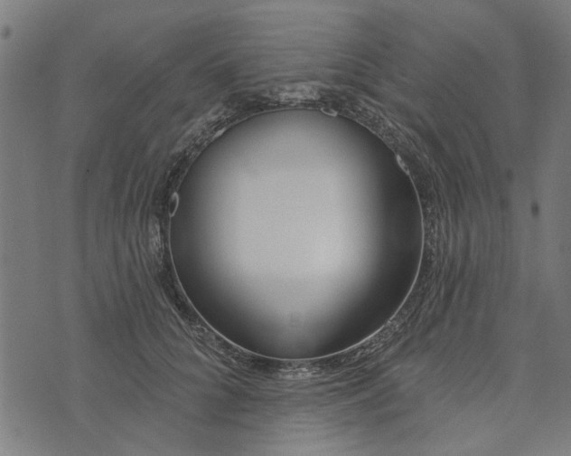 X0000073520704200608211805