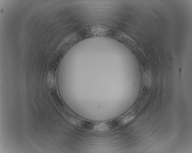 X0000073520705200608211805