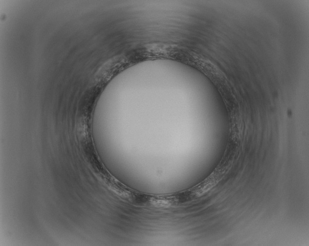 X0000073520706200608211805