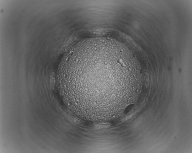 X0000073520707200608211805