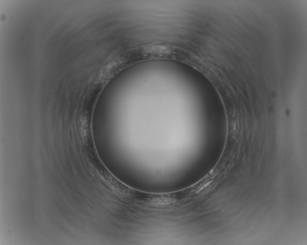 X0000073520708200608211805