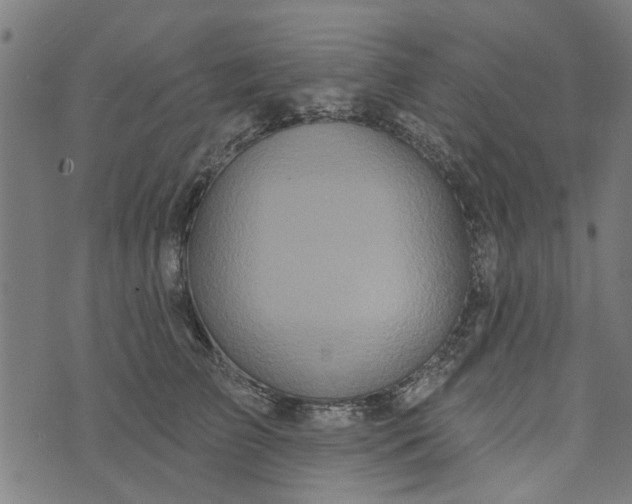 X0000073520709200608211805