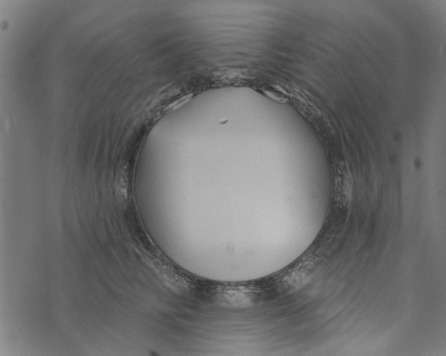 X0000073520710200608211805