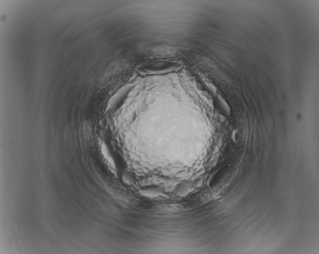 X0000073520711200608211805