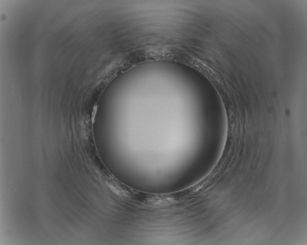 X0000073520712200608211805