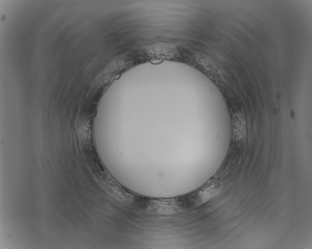 X0000073520713200608211804