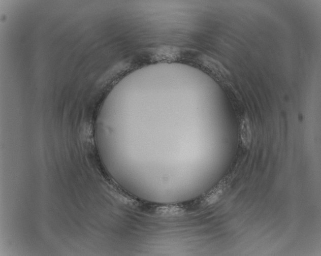 X0000073520714200608211804